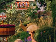 -上海共青森林公园