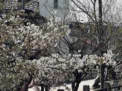 -锦溪古镇