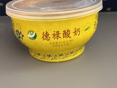 -德禄酸奶(莫家街店)