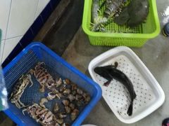 -班赞海鲜市场