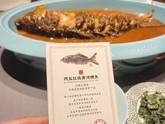 -阿五黄河大鲤鱼(纬三路店)