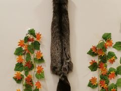 -老猎户炭火锅羊汤(万达店)