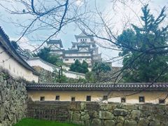 -名古屋城