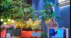 -花隐·美芙炫海菲秀皮肤管理中心