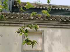 -海棠花溪(元大都城垣遗址公园)
