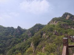 -大岭沟猕猴桃谷风景区