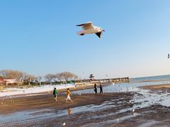 -老虎石海上公园