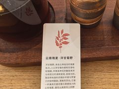 -Torch Coffee 炬点咖啡