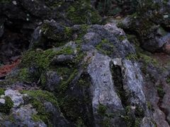 -普者黑风景区-青龙山