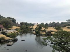 -水前寺成趣园