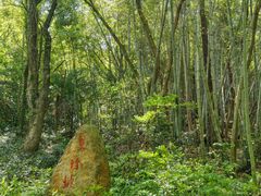 -北仑森林植物园
