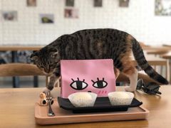 -平行世界·猫咖(首经贸店)