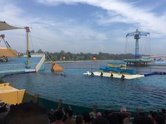 -秦皇岛乐岛海洋王国