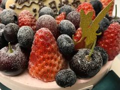 -EnergyCake蛋糕理想国