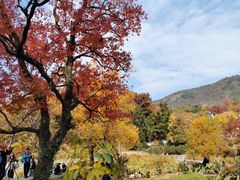 -塔川景区