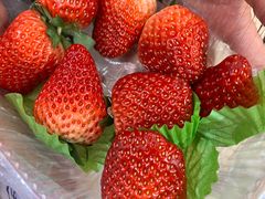 -道里菜市场