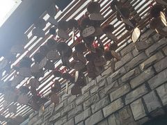 -慢丽江·云南野生菌土鸡锅(付家庄店)