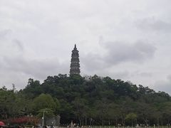 -顺峰山公园