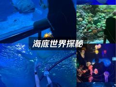 -太平洋海底世界