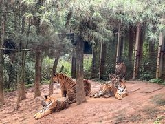 -云南野生动物园