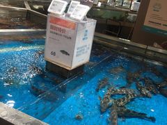 -盒马鲜生(悦峰店)