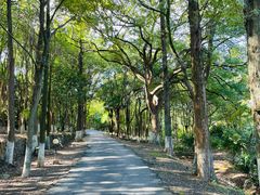 -金牛山大酒店(南北湖风景区店)