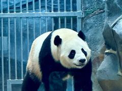 -武汉动物园