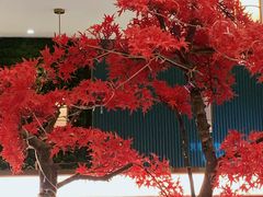 -透明思烤·自助烤肉海鲜火锅(东部星悦天地店)