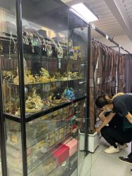 -美云庭古装·格格服汉服·京城旅拍(北京店)
