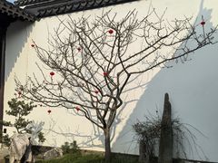 -程十发艺术馆