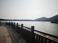 -风云岭森林公园