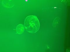 -福州罗源湾海洋世界旅游区