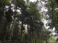 -东天目山风景区