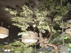 -绿茶餐厅(广州天河城店)