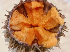 马粪海胆-上宴精品海鲜姿造(晶融汇旗舰店)