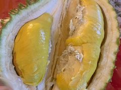 -都念榴莲·城市榴莲