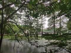 -东湖落雁景区