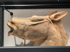 -四川大学博物馆