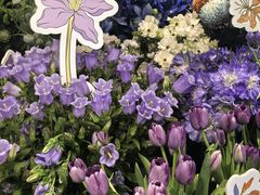 -常熟路(地铁站)