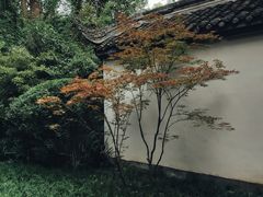 -成都杜甫草堂博物馆