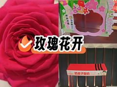 -大鸭梨烤鸭(望京店)