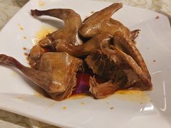 -百利鸽王(紫薇路店)