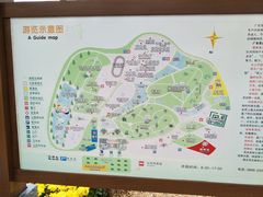 -广东茂名森林公园