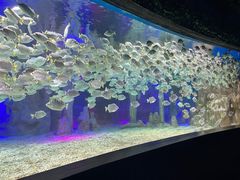 -北海海底世界