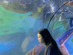 -重庆欢乐海底世界