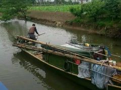 -南汇水蜜桃采摘(大团店)