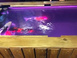 iphone_upload_pic-鳌首刺青纹身 穿孔饰品店