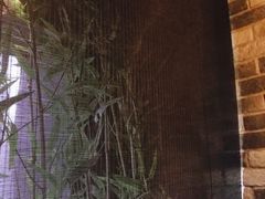 大堂-湊湊火锅·茶憩(新中关购物中心店)