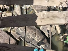 -塔公寺