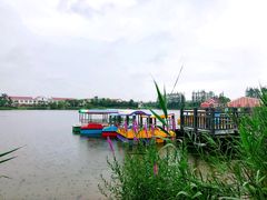 景点-上海长兴岛郊野公园